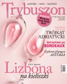 Cover_16.png