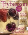 cover_17.jpg