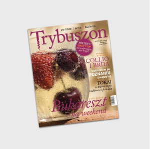 Trybuszon nr 17