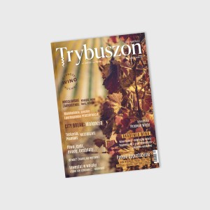 Trybuszon nr 2